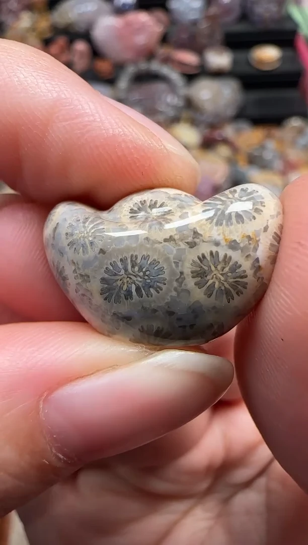 颈饰未镶嵌硅化珊瑚（珊瑚玉）810