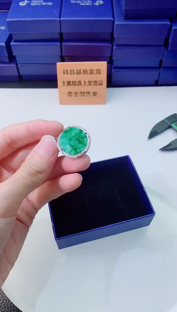 翡翠未镶嵌颈饰