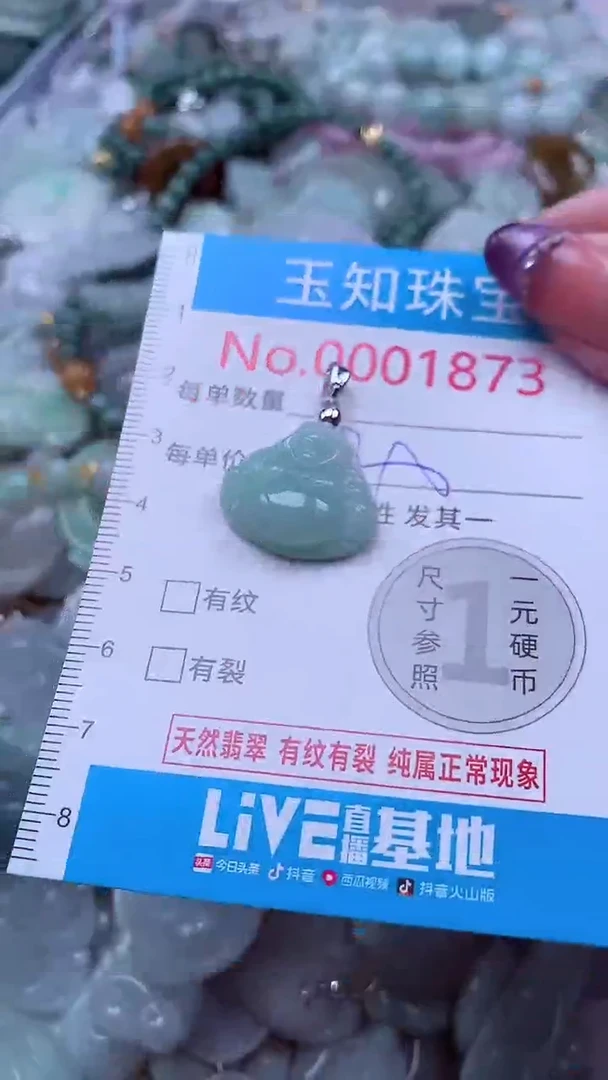 翡翠未镶嵌吊坠(不含链)1873