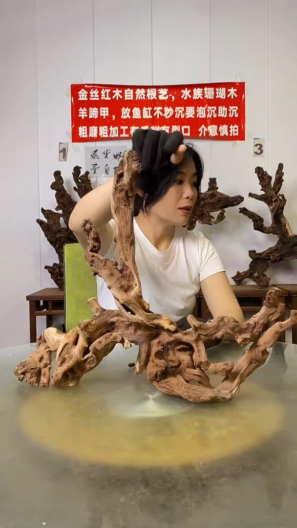 香榧木古**力金丝红木   羊蹄甲