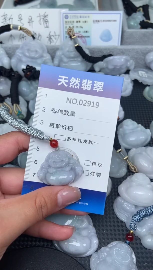 颈饰未镶嵌翡翠纯天然A货翡翠2919