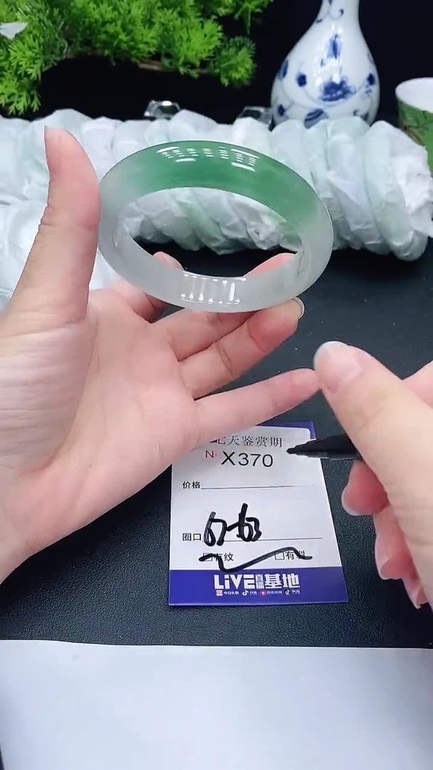 未镶嵌手镯翡翠370