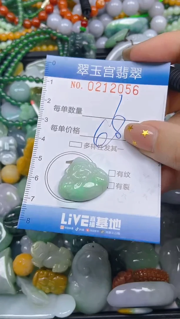 颈饰未镶嵌翡翠闪购C0212056