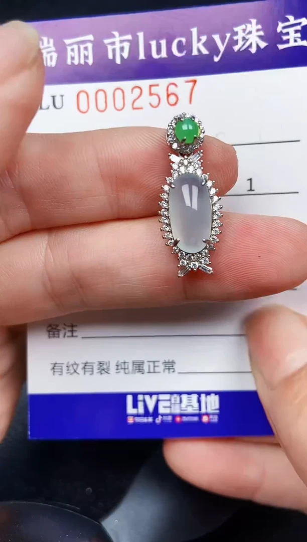 翡翠银S925镶嵌颈饰2567