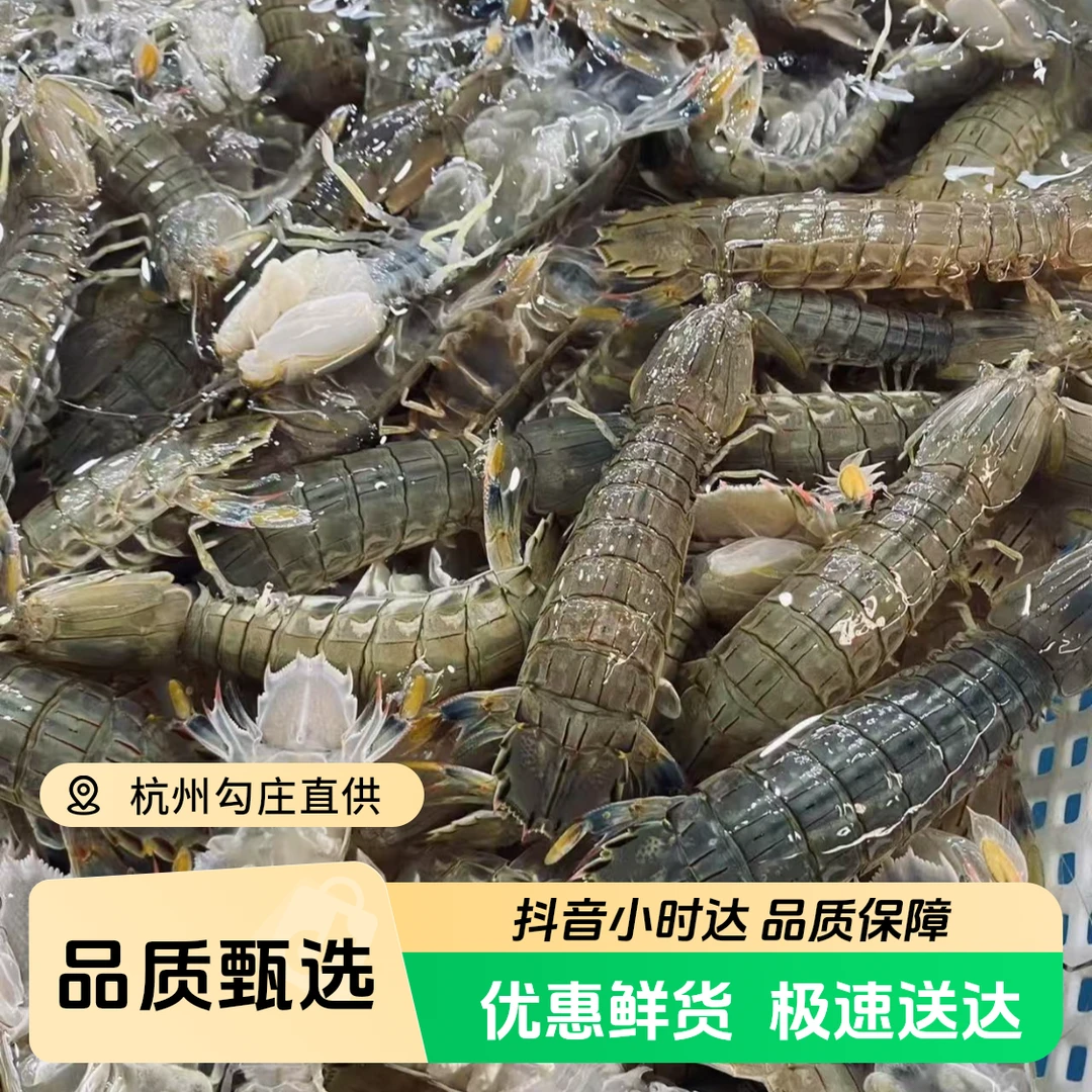 （现挑现发）缺氧肥美大皮皮虾2斤装/加冰发货/不保活/杭州同城1小时