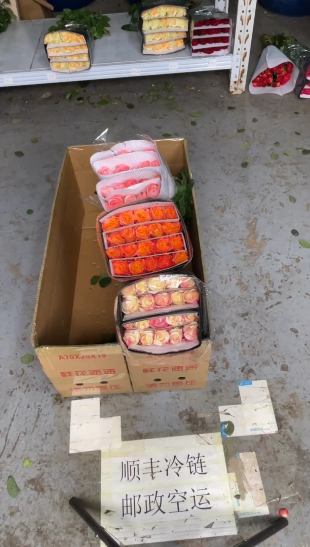 霓裳20枝+火灵鸟20枝+戴安娜20枝