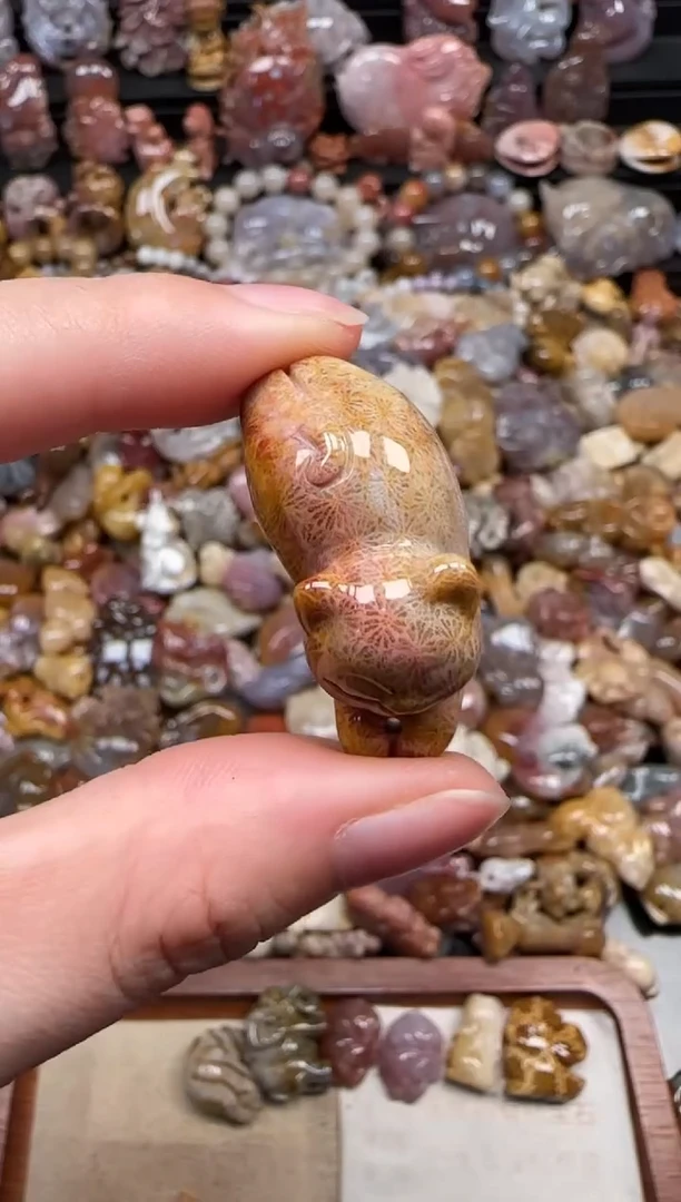 颈饰未镶嵌硅化珊瑚（珊瑚玉）560