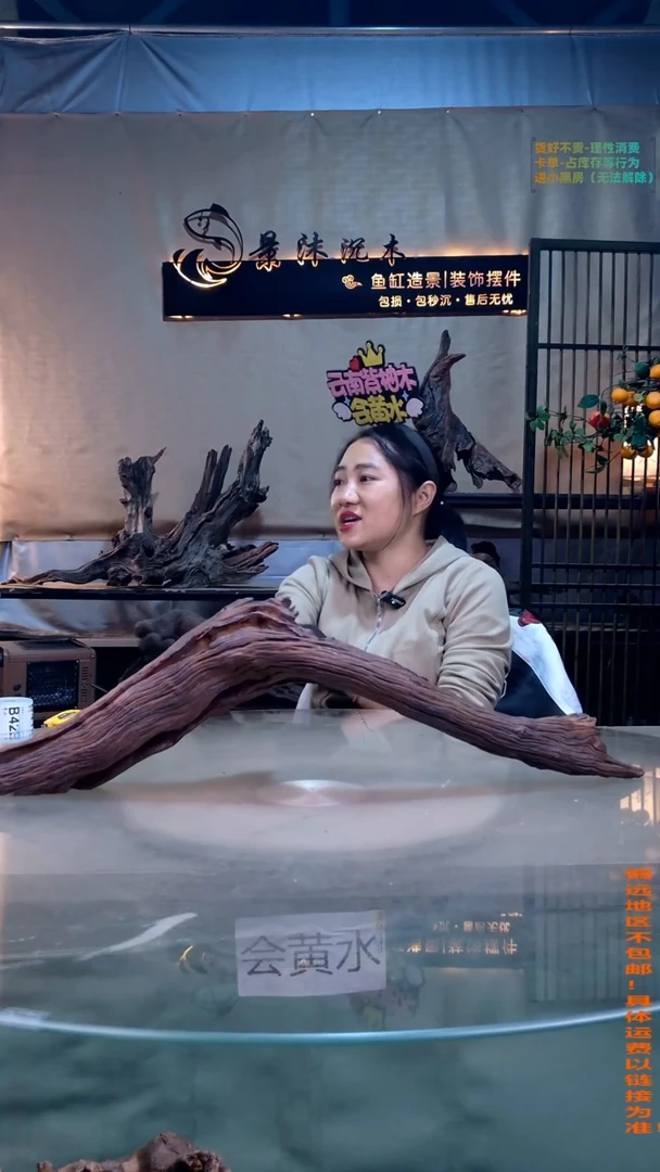 摆件景沐沉木B416 67-14-20