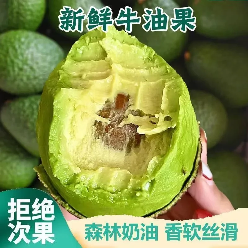 牛油果秘鲁新鲜水果当季宝宝辅食熟透非即食一级鳄梨大果整箱包邮