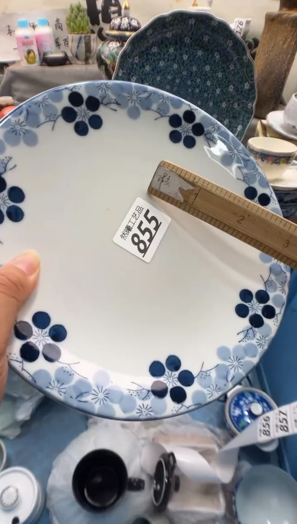 瓷片大*子855