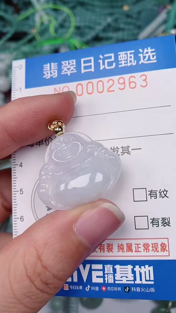 【闪购商品】翡翠颈饰未镶嵌00002963