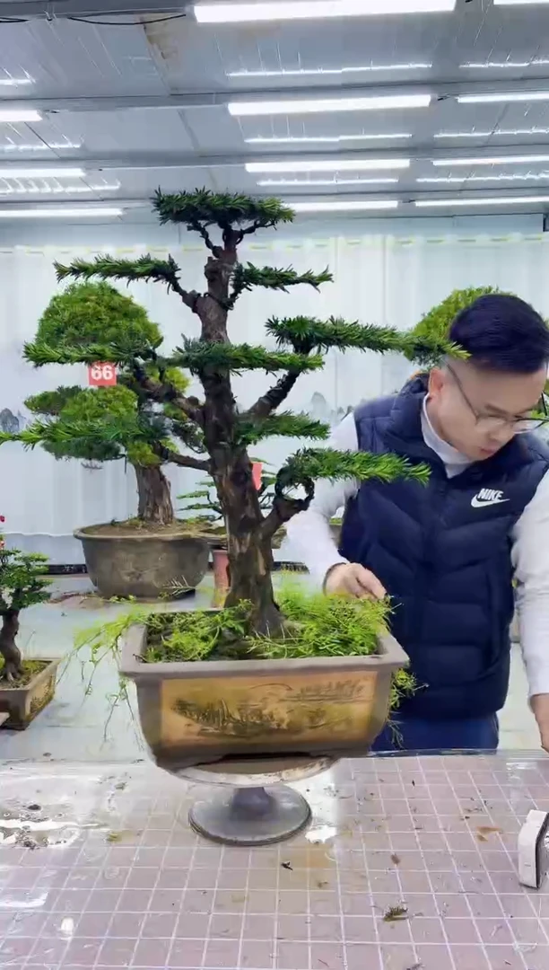 一物一拍，所见即所得