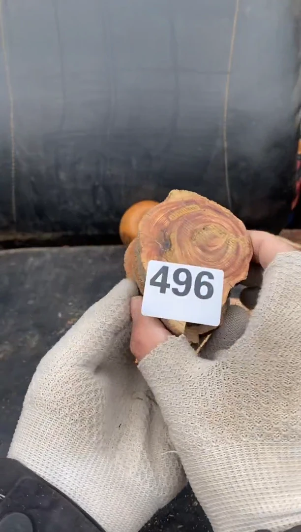 柏木（崖柏）太行陈化崖柏切片！随机（1单1片）496
