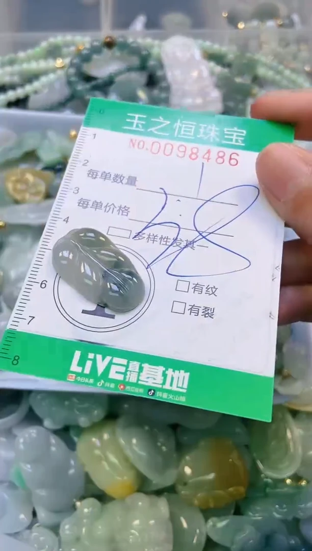 翡翠未镶嵌颈饰闪购0098486