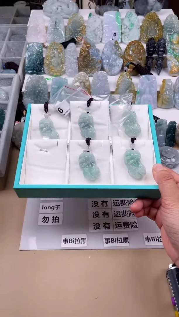 【闪购商品】翡翠颈饰未镶嵌天然缅甸A货翡翠多样性发一貔貅59