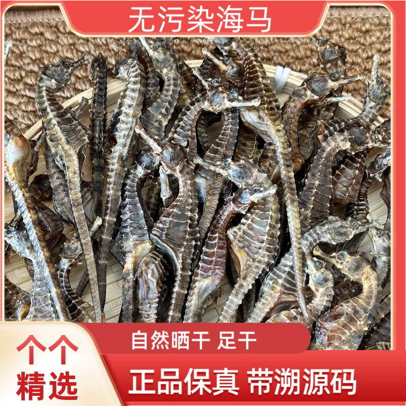 海干货海馬泡酒煲汤带溯源码海马泡酒专用