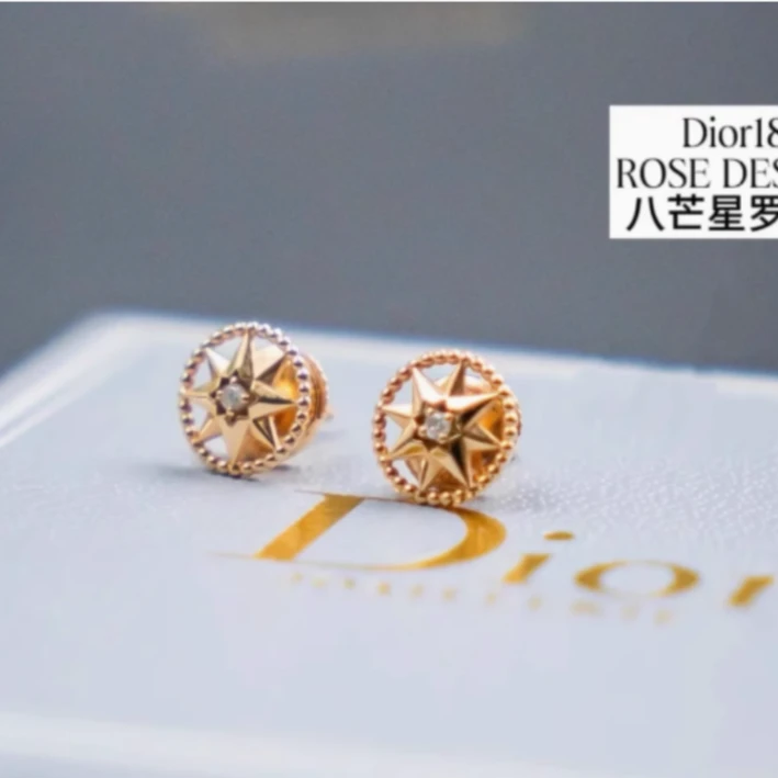 99新 DIOR/迪奥 小花柳 Dior迪奥 罗盘耳钉 18k玫瑰金