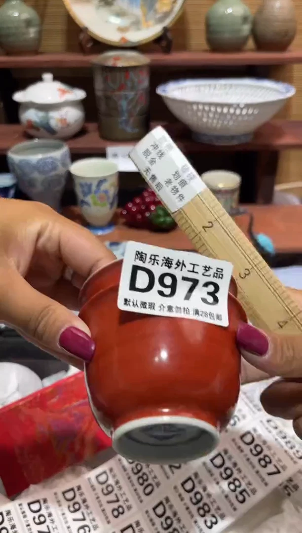 瓷片龙*           D973