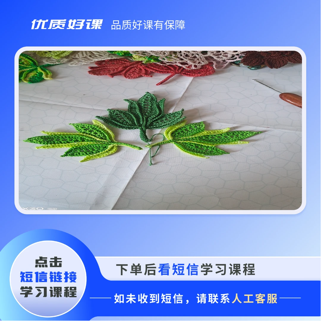 爱尔兰叶子1教程教学