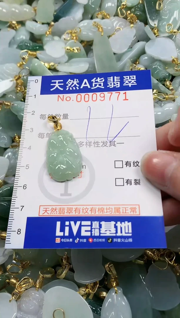 颈饰未镶嵌翡翠纯天然a货翡翠