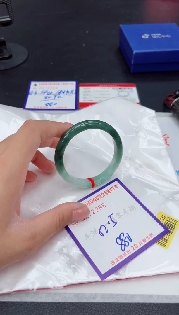 未镶嵌手镯翡翠1