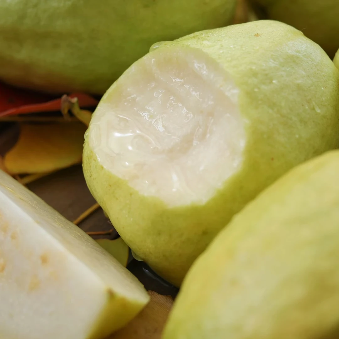 奶油芭乐奶油芭乐一箱1500g（3斤左右）
