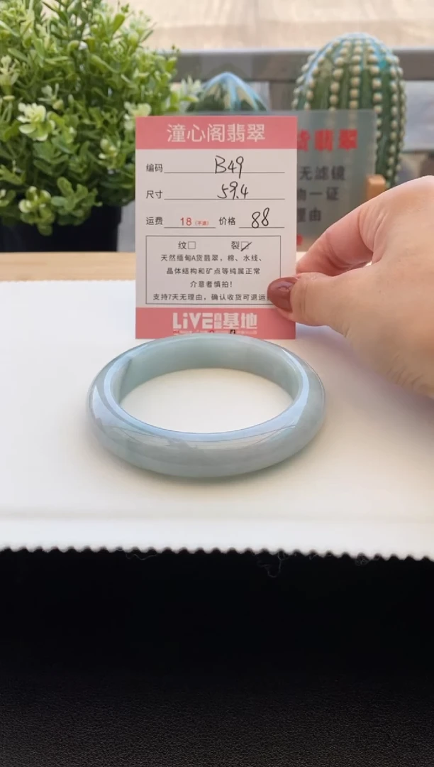 未镶嵌手镯翡翠59.5圈口 编码 B49