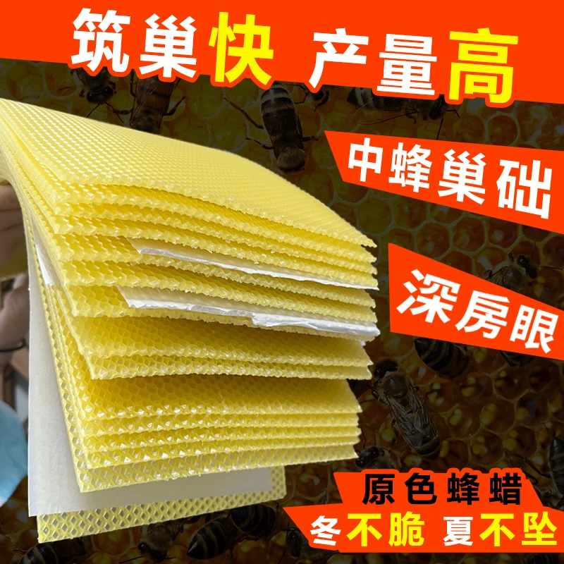 中蜂深房巢础片蜂巢基蜂脾天然优质蜂蜡养蜂筑巢巢础片