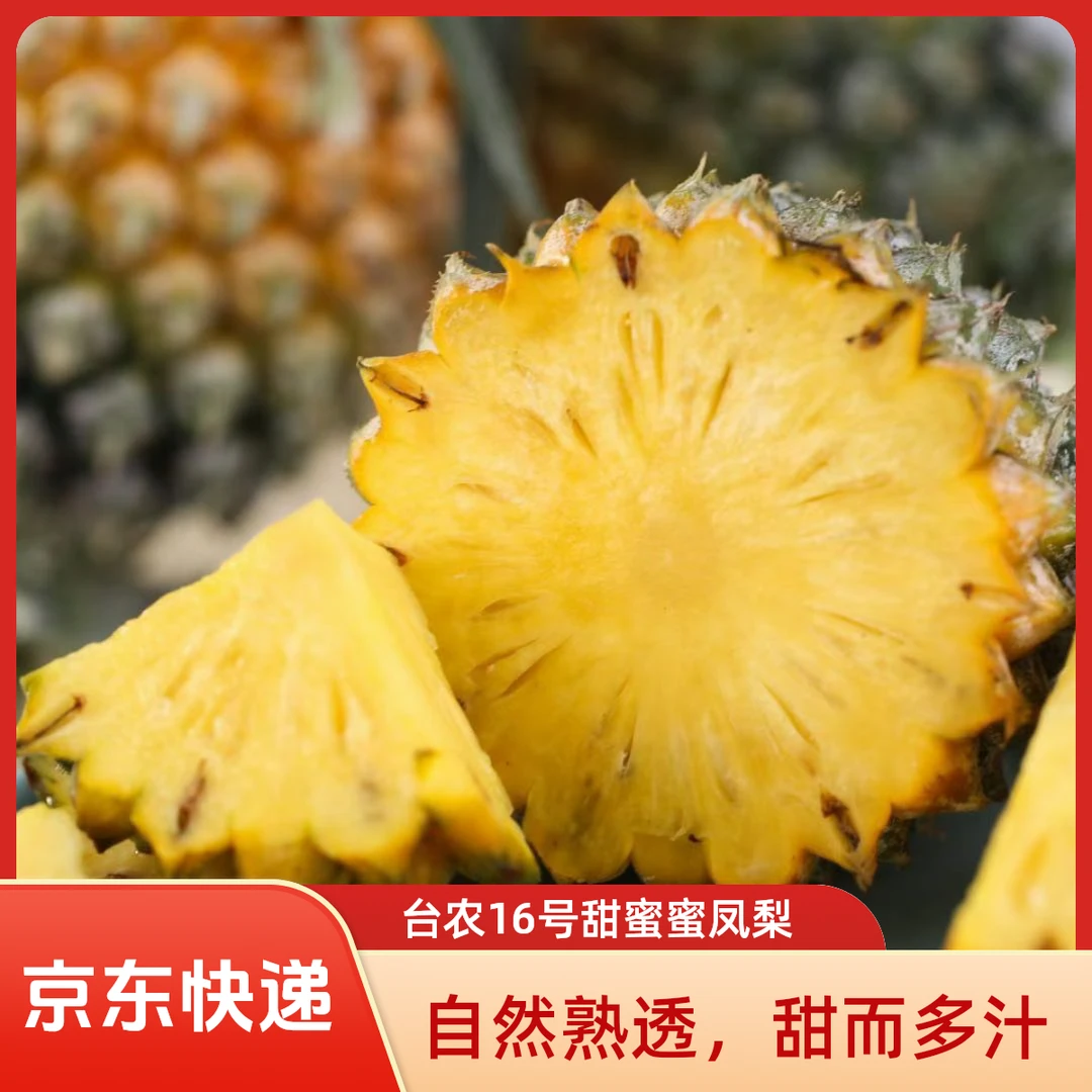 【京东快递】金钻台农16号甜蜜蜜凤梨非海南黑钻凤梨大果自然树熟