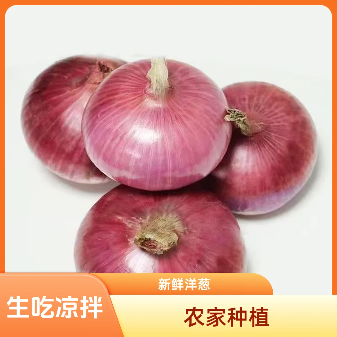 2025年河南新鲜洋葱（正宗二红）可生吃凉拌炒菜 皮薄肉厚汁水多