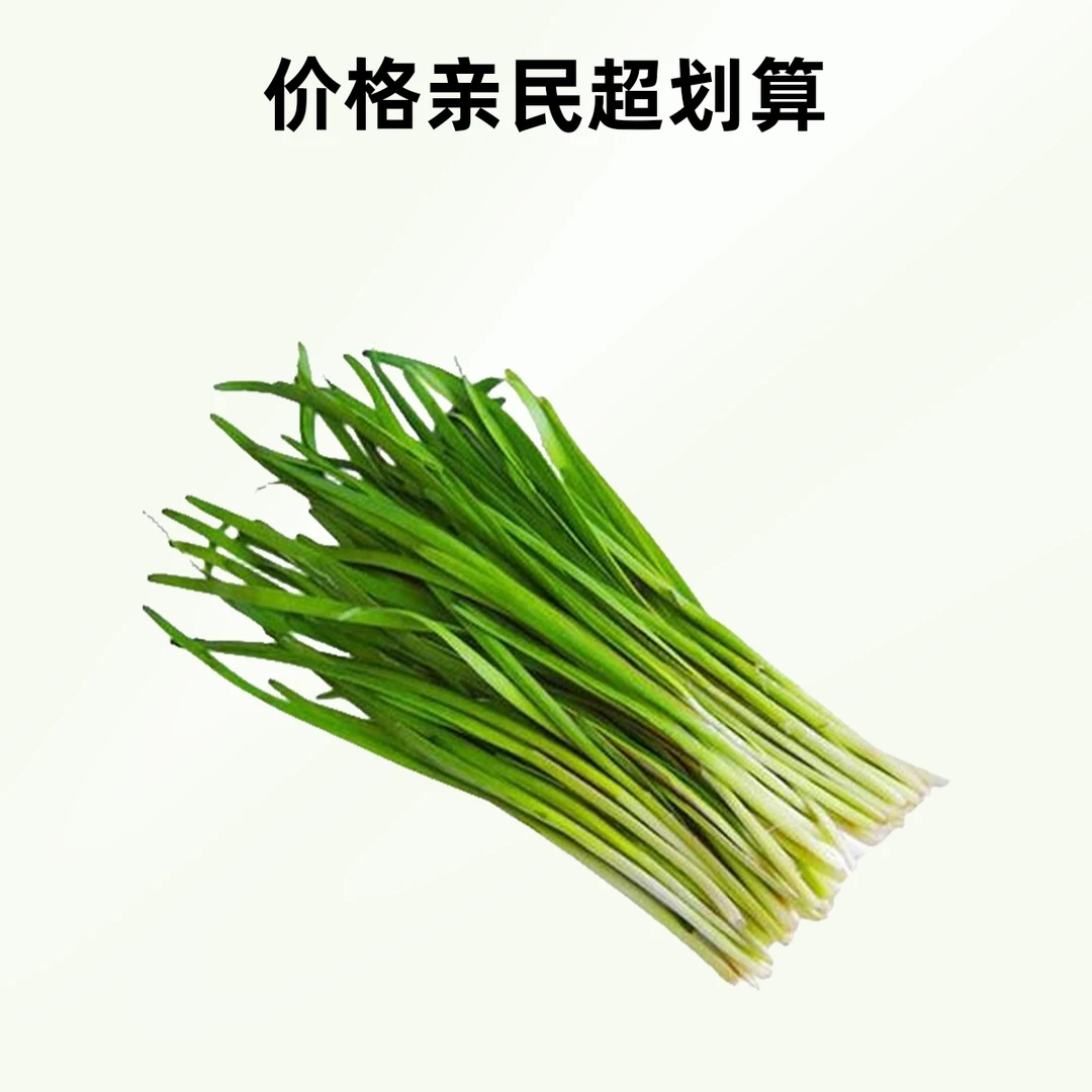地产韭菜 500g±50g/袋【好东西】绿色蔬菜
