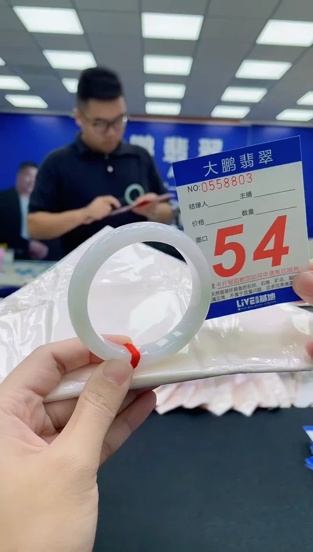 未镶嵌手镯翡翠AAAAAAAAA