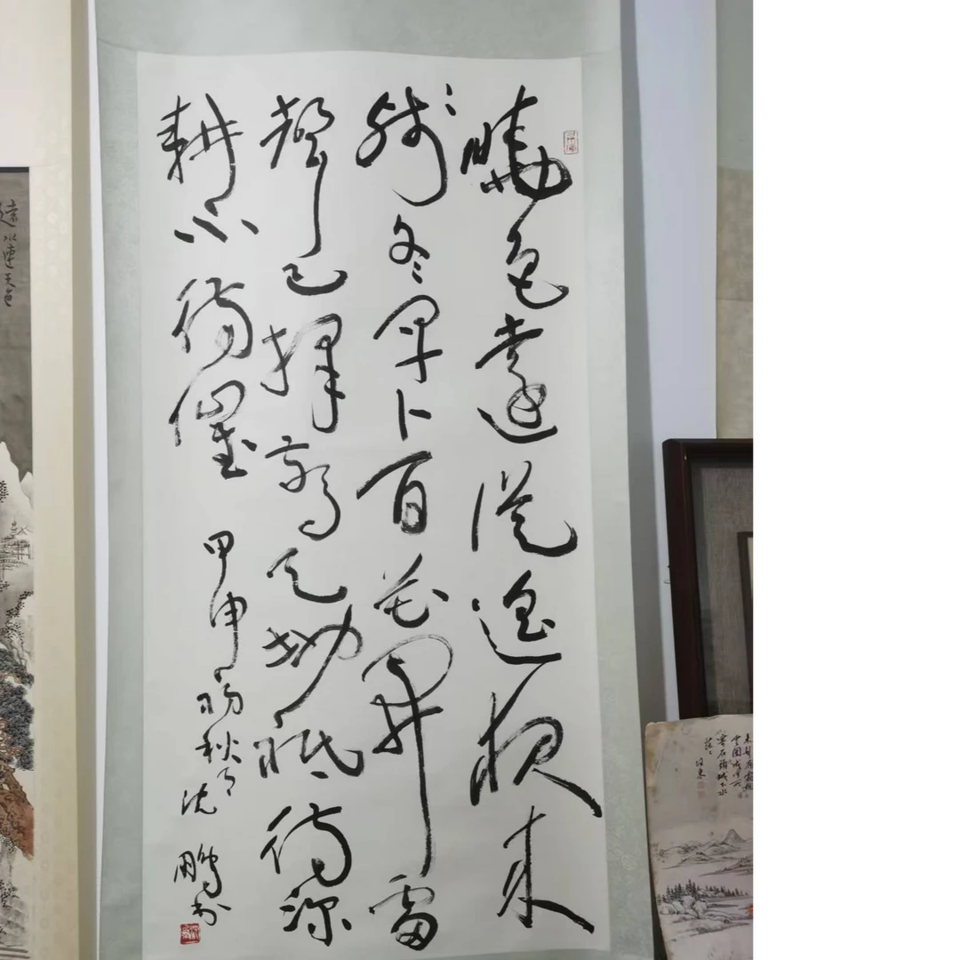 沈老师书法 纸本立轴