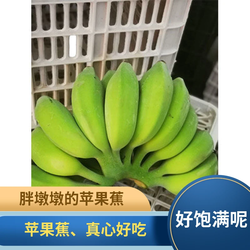 4.5斤苹果蕉香蕉应季水果催熟食用现砍现发绿色发货