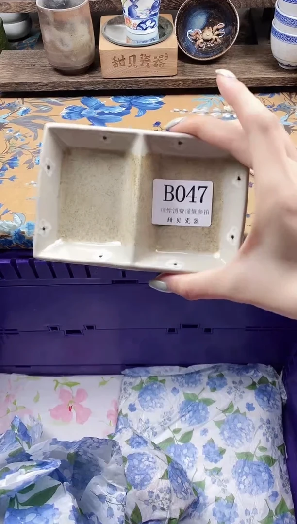 瓷片小**潮                B047