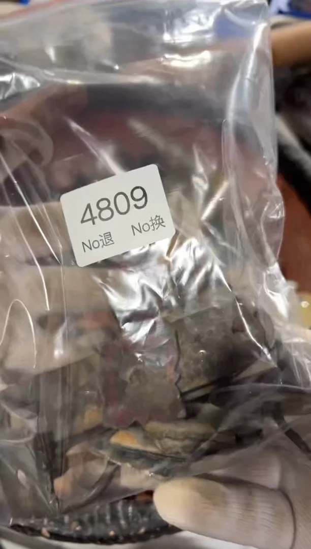 罐刘*飞88886666202509234809