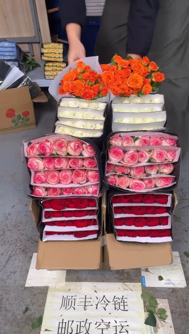 高原红20枝+艾沙20枝+骄傲20枝+橙色芭比10枝