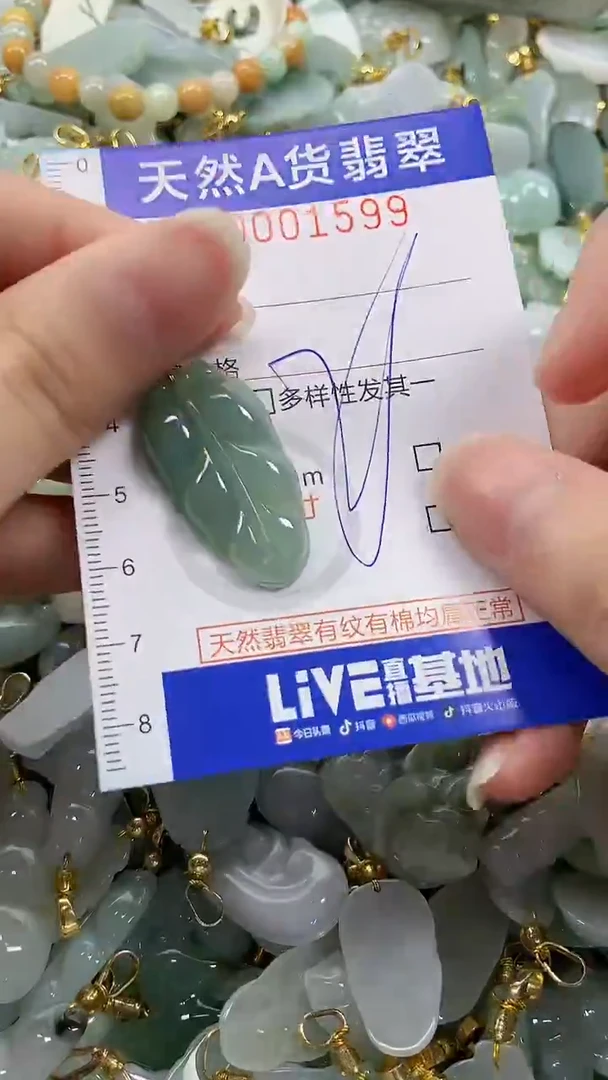 颈饰未镶嵌翡翠纯天然货a翡翠