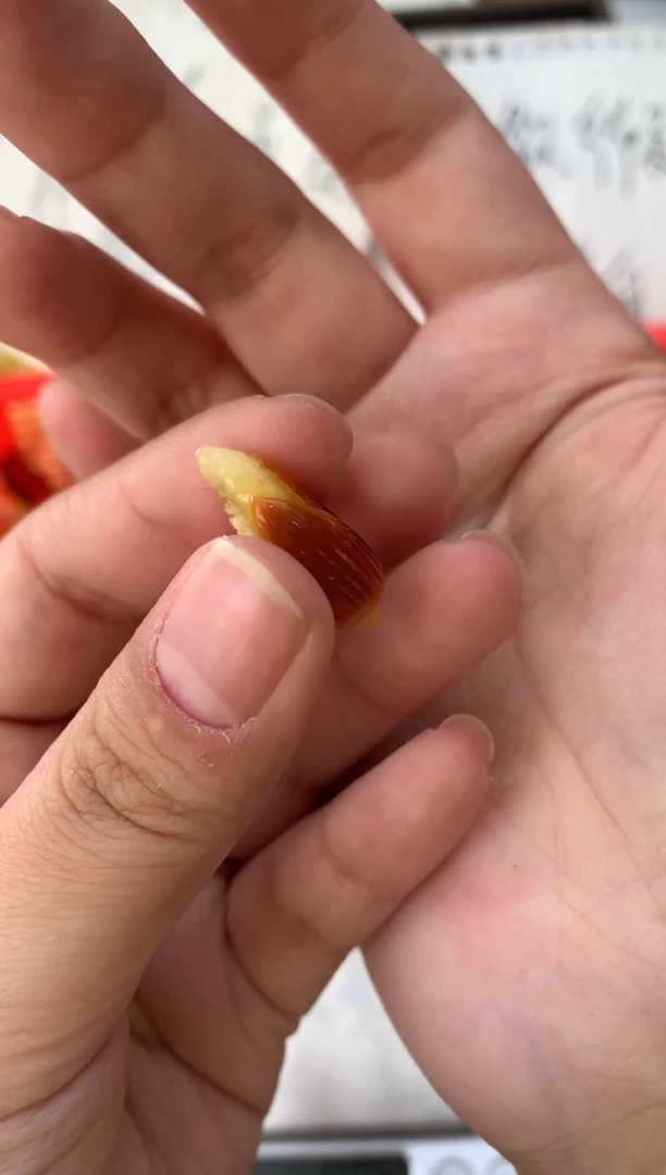 【闪购商品】琥珀珠宝奇石未镶嵌057琥珀蜜蜡