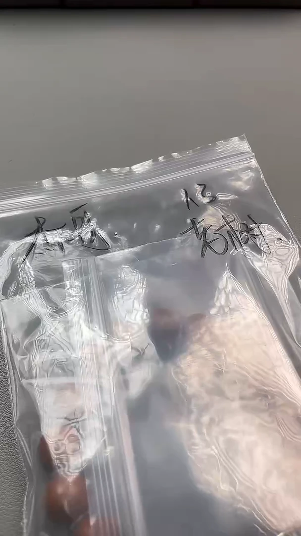 手串/手链橄榄核1.3