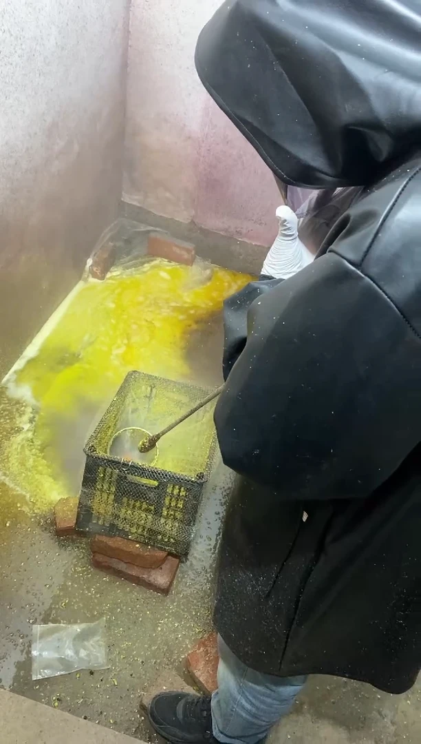 文玩核桃把件【谨慎下单，青皮开起不tui不huan！】蛤蟆头50-52青皮果