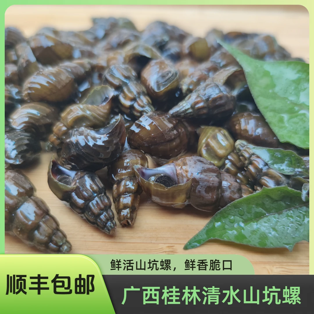 鲜活广西桂林清水山坑螺花螺扭纹螺石螺鬼螺九纹螺2斤装顺丰包邮