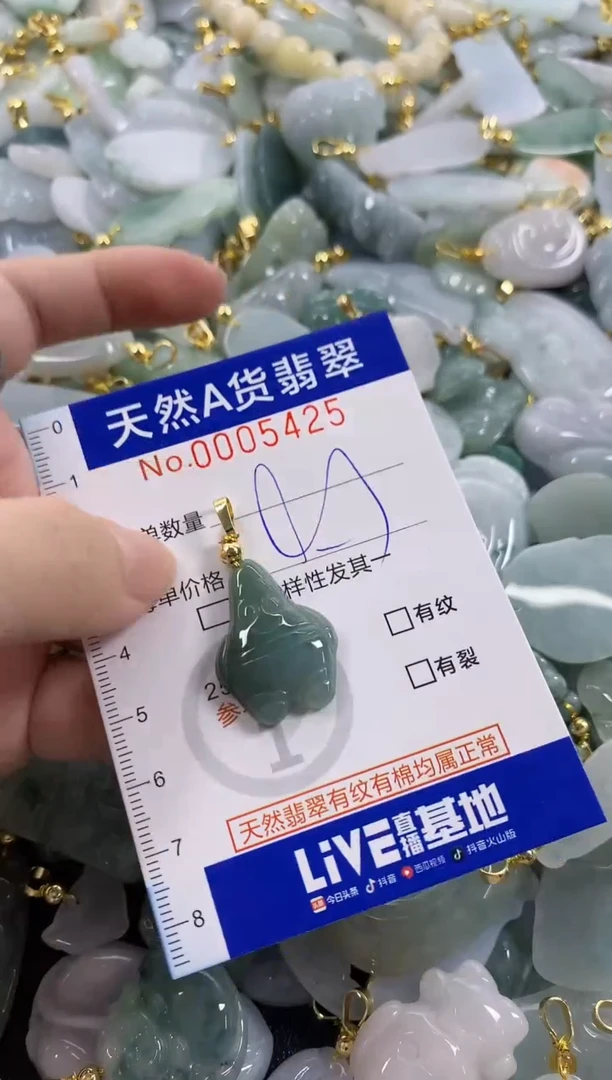 颈饰未镶嵌翡翠天然A货翡翠