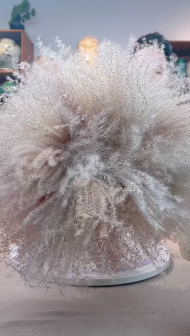 瓶陶瓷花瓶  一束芦苇 70支