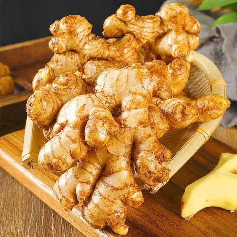 【今天发明天到】正宗云南高山小黄姜【坏果包赔】/肉质饱满/高品质现挖现发2斤/3斤/5斤装/新鲜发货/产地直供