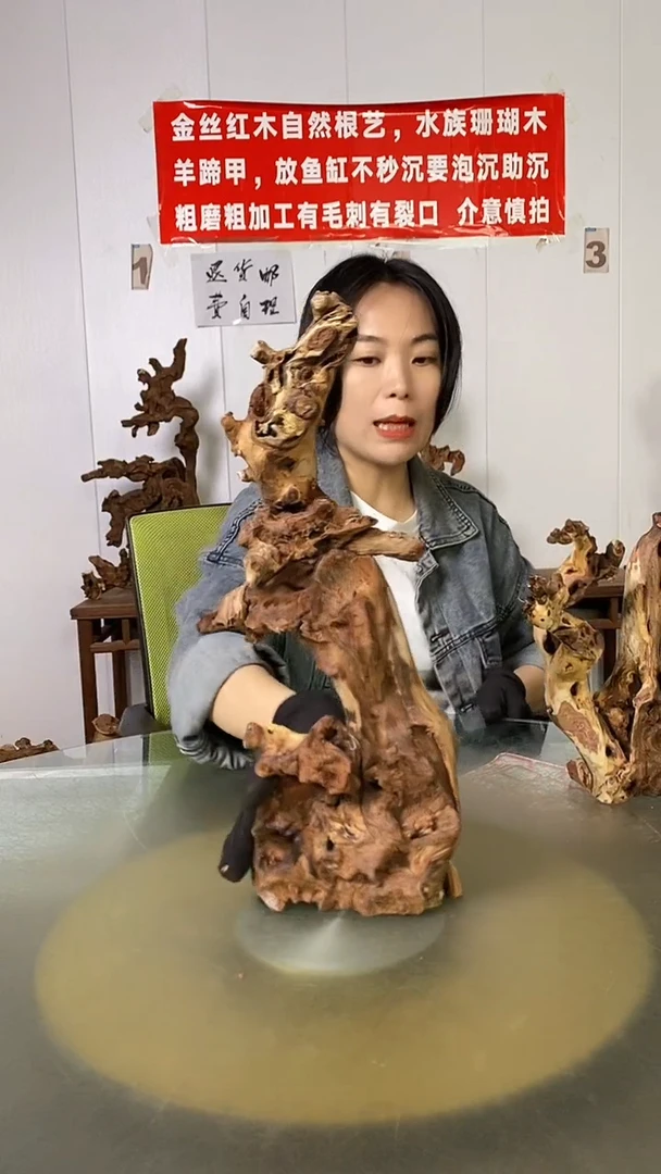 木江**鸟金丝红木 羊蹄甲