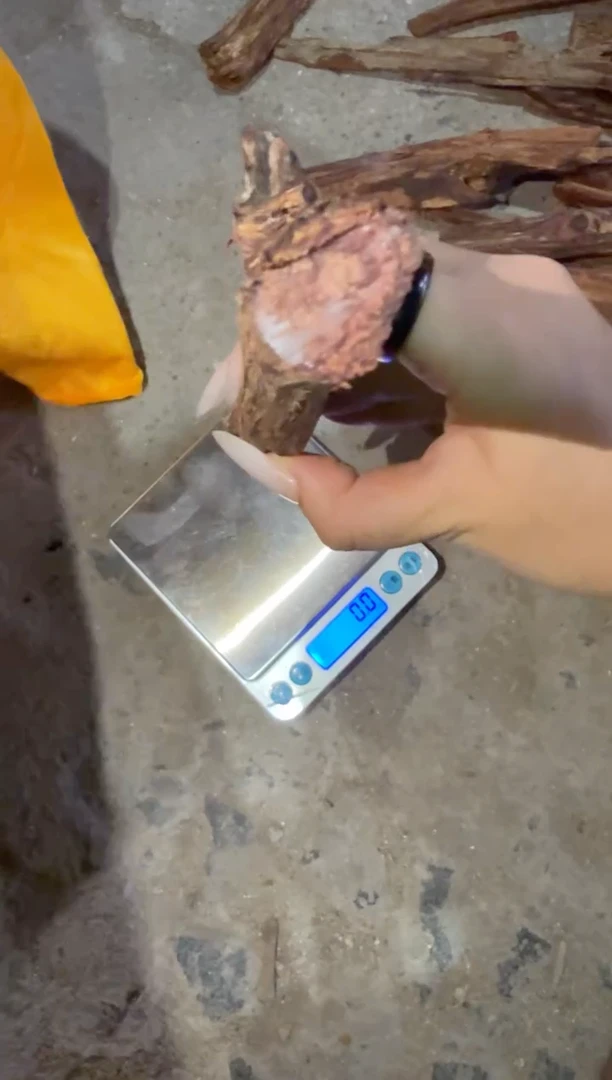 藤类海南大叶降真香原料50g