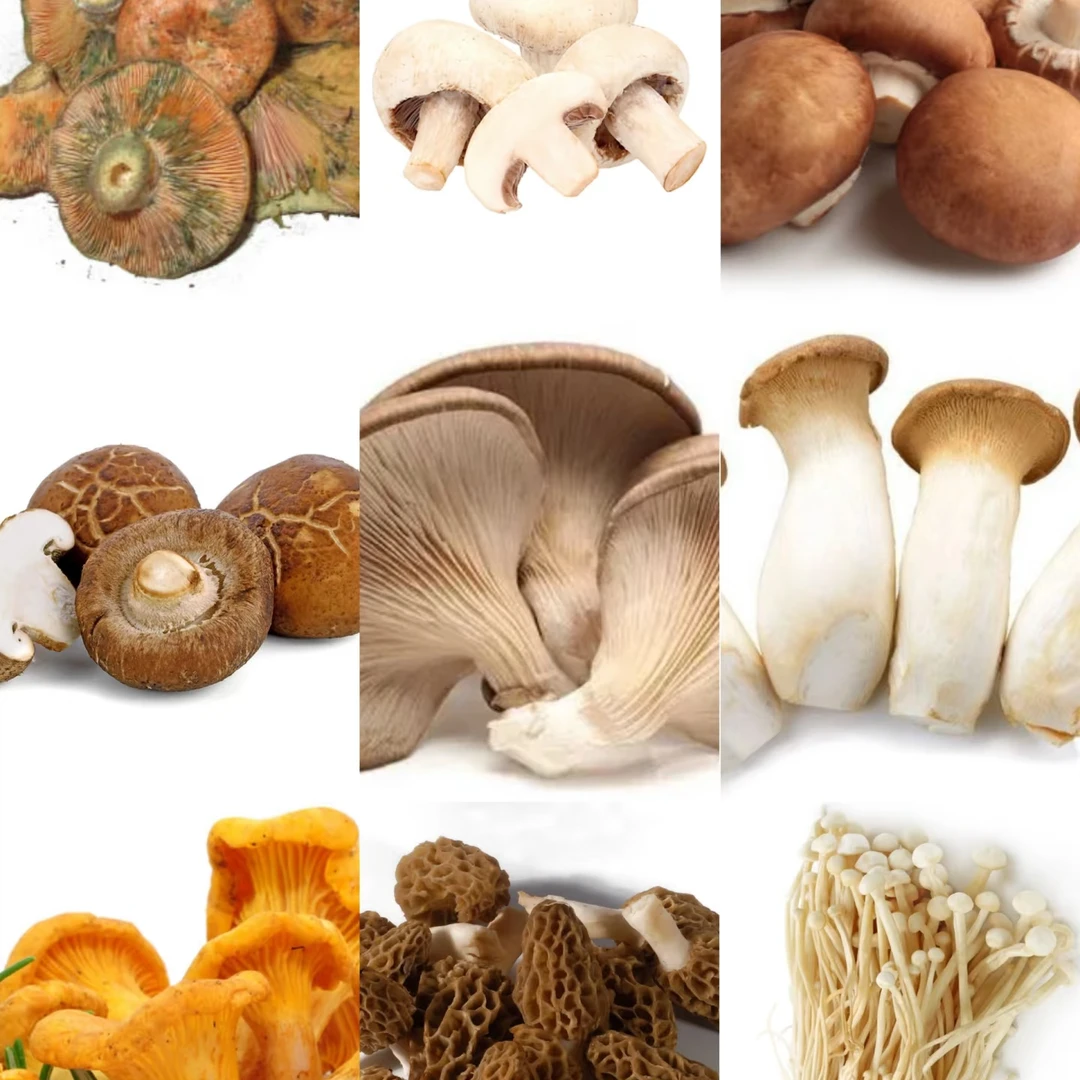 【客-服-链-接-勿-拍】净含量500g【阿虎现收】