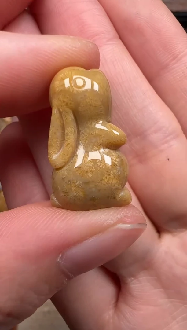 硅化珊瑚（珊瑚玉）未镶嵌颈饰141