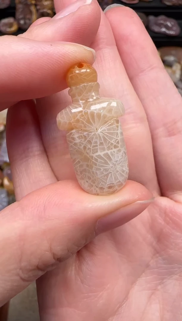 颈饰未镶嵌硅化珊瑚（珊瑚玉）227